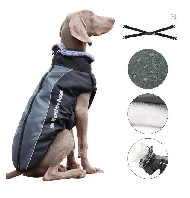 Doudoune pour chien|avec harnais|TOPJESS - Image 3